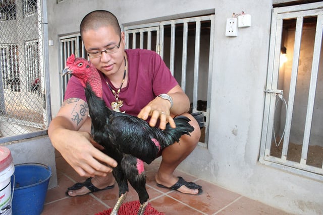 Xây Dựng Chương Trình Huấn Luyện Khoa Học